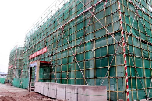 喜訊！龍馬潭大型建材產(chǎn)業(yè)物流港建設(shè)迎來(lái)新進(jìn)展